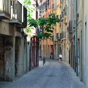 Girona Housing Ginesta 9 Girona